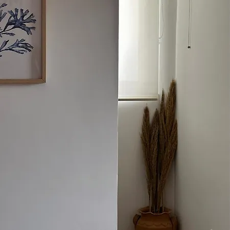 La Filanda Sul Mare רוקאלומרה